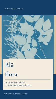Blå botanikk