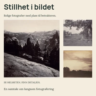 Stillhet i bildet · Tre steg