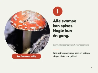 Side 5 af Biologi — svampe for 7. klasse
