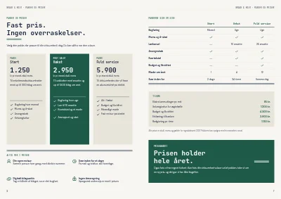 Side 6–7 af Ydelsesbrochure for revisionsfirma – 12 sider