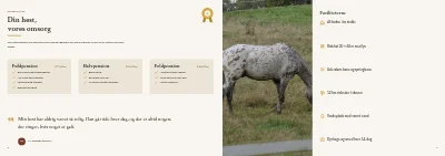 Side 8–9 af Brochure for rideskole og hestepension – 12 sider