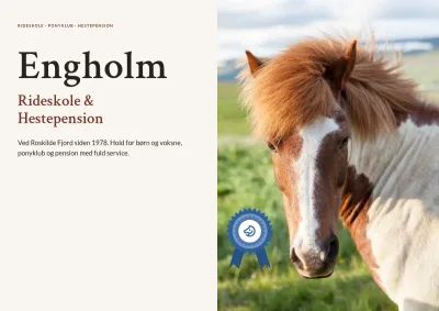 Brochure for rideskole og hestepension – 12 sider