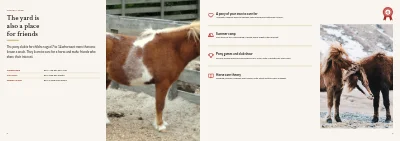 Pages 6–7 of Brochure for a riding school and livery – 12 pages