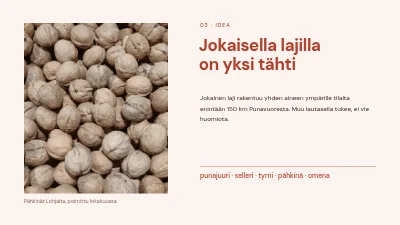 Sivu 3 – Menukonsepti — talvimenu