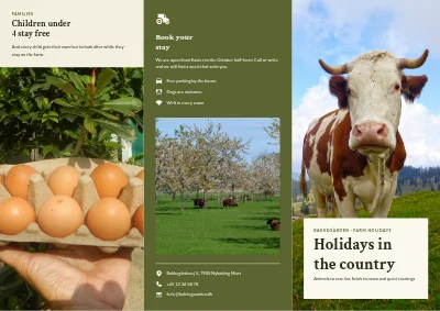 Farm holidays in the country