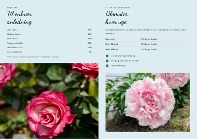 Side 2 af Blomsterhandel: buketter og abonnement