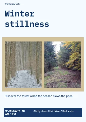 Winter stillness