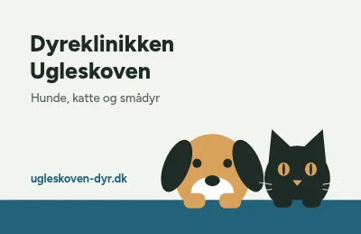 Side 1 af Over disken