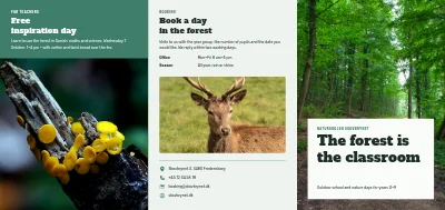 Nature school and outdoor learning