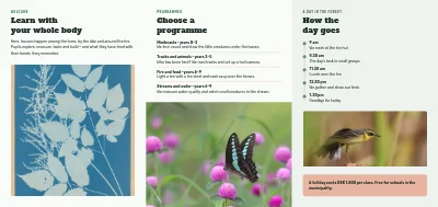 Σελίδα 2 του Nature school and outdoor learning