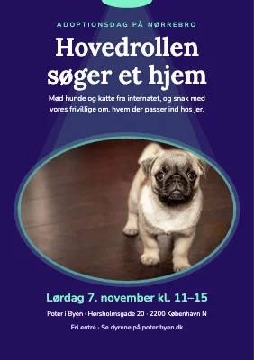 Adoptionsdag — hovedrollen søger et hjem
