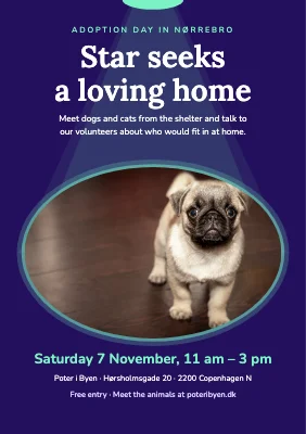 Adoption day — star seeks a home