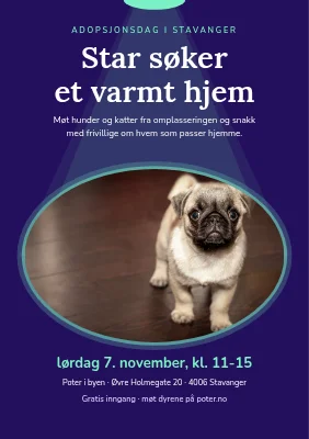Adopsjonsdag — stjernen søker hjem