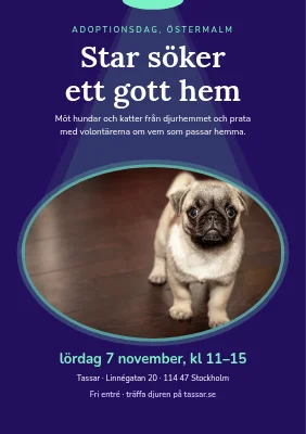 Adoptionsdag — stjärnan söker hem