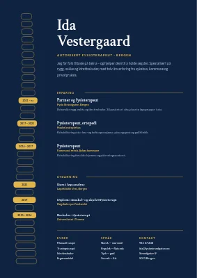 CV for fysioterapeut