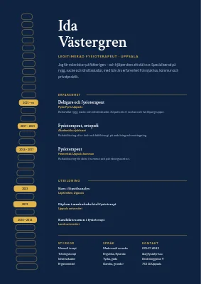Fysioterapeut-CV