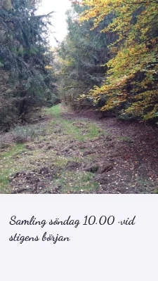 Sida 3 av Ut ur inkorgen · mjuk wellness