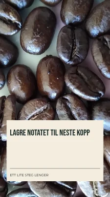 Side 3 av Ditt første bryggenotat · Skriftbånd