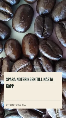 Sida 3 av Din första bryggnotis · Typband
