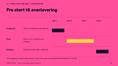 Side 2 av Mentoring med retning