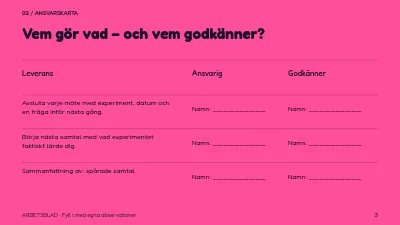 Sida 3 av Mentorskap med riktning
