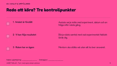 Sida 4 av Mentorskap med riktning