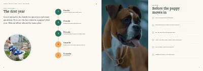 Pages 6–7 of Clinic brochure for a veterinary practice – 12 pages