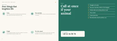 Pages 8–9 of Clinic brochure for a veterinary practice – 12 pages