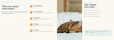 Pages 10–11 of Clinic brochure for a veterinary practice – 12 pages