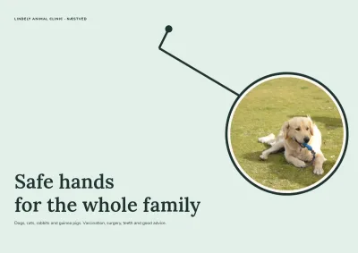 Clinic brochure for a veterinary practice – 12 pages