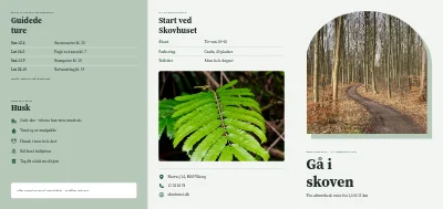 Vandreruter i skoven