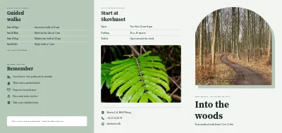 Forest walking trails