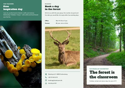 Nature school and outdoor learning