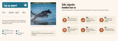 Side 8–9 af Holdkatalog for hundeskole – 12 sider