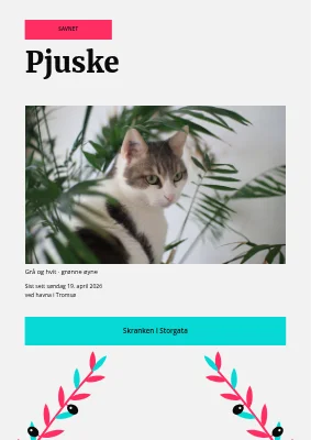 Savnet katt i Køge