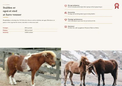 Side 6–7 af Brochure for rideskole og hestepension – 12 sider