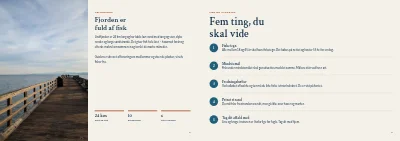 Side 2–3 af Guide til lystfiskeri i fjorden – 20 sider