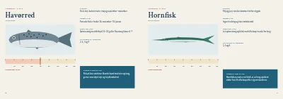Side 8–9 af Guide til lystfiskeri i fjorden – 20 sider