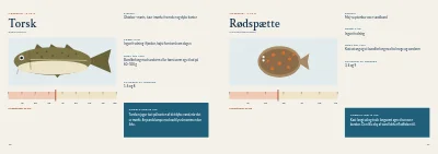 Side 10–11 af Guide til lystfiskeri i fjorden – 20 sider