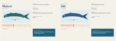 Side 12–13 af Guide til lystfiskeri i fjorden – 20 sider
