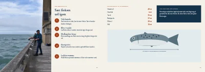 Side 16–17 af Guide til lystfiskeri i fjorden – 20 sider