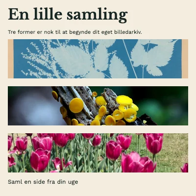 En lille samling · Bogomslag