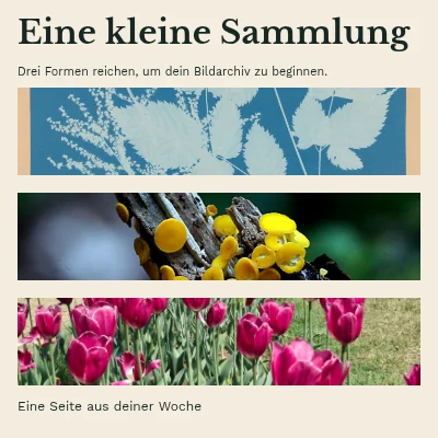 Eine kleine Kollektion · Buchumschlag