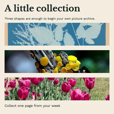 A little collection · Book jacket