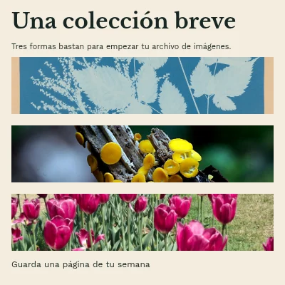 Una pequeña colección · Sobrecubierta de libro