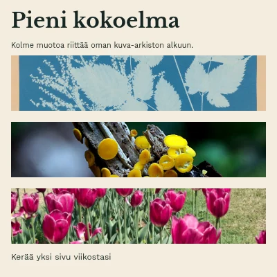 Pieni kokoelma · Kirjan suojakansi