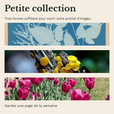 Une petite collection · Jaquette de livre