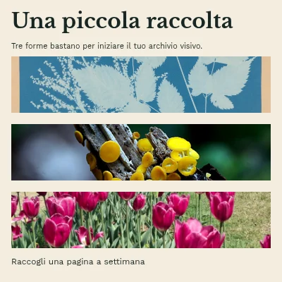 Una piccola collezione · Sovraccoperta