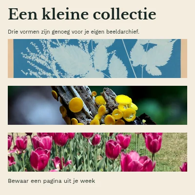 Een kleine collectie · Boekomslag