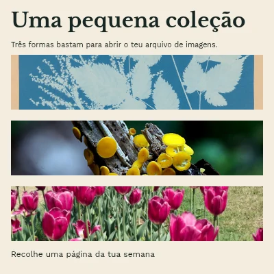 Uma pequena coleção · Sobrecapa de livro